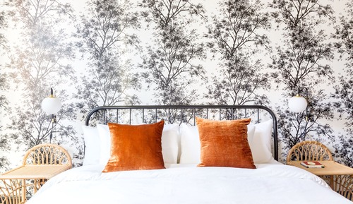Room, 1 King Bed