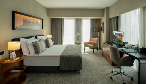 Deluxe Room, 1 Double Bed