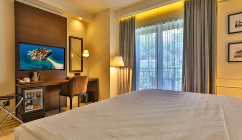 Superior Double or Twin Room, Mountain View