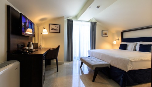 Standard Double Room, Mountain View