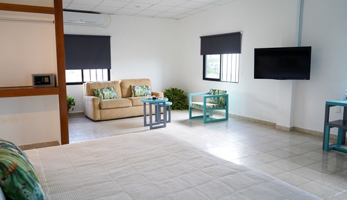Junior Suite