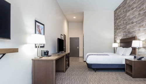 Room, 1 King Bed with Sofa bed, Non Smoking