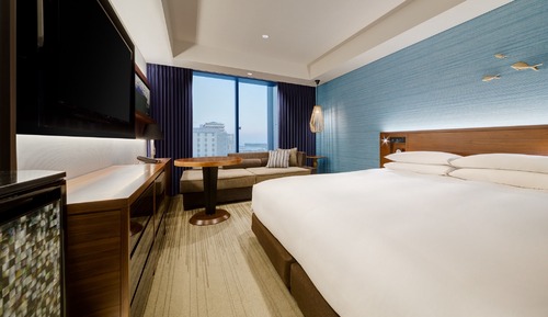 Club Room, 1 King Bed