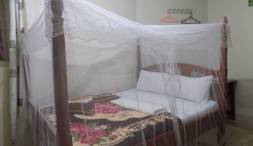 Single Room, Non Smoking, Mountain View