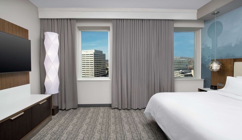 Suite, 1 King Bed (2-Room)