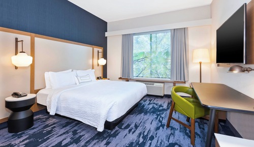 Room, 1 King Bed