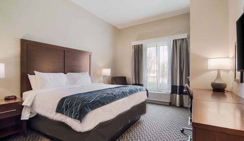 Standard Room, 1 King Bed, Non Smoking