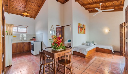 Apartment, 1 Bedroom, Kitchen, Beachfront (Apt. 7)
