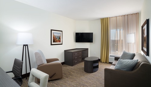 Suite, 1 King Bed with Sofa bed