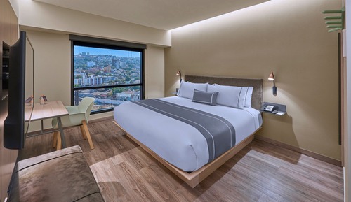Room, 1 King Bed, Non Smoking