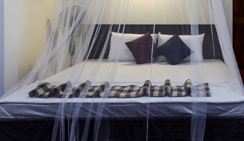 Deluxe Room, 1 Bedroom, Mountain View