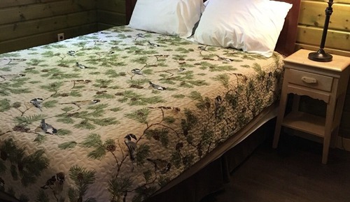 Standard Double Room, Private Bathroom (Two Queen/Kitchenette)