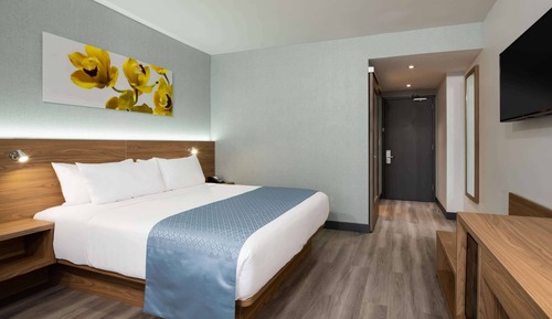 Room, 1 King Bed, Non Smoking