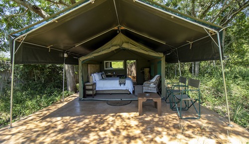 Duiker Suite # 17