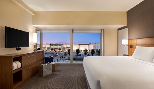 Suite, 1 King Bed with Sofa bed