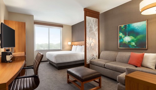 Room, 1 King Bed with Sofa bed