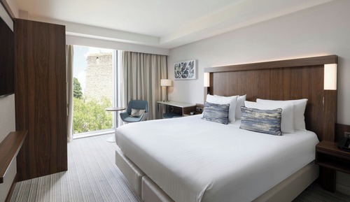 Premium Room, 1 King Bed, Non Smoking (View)
