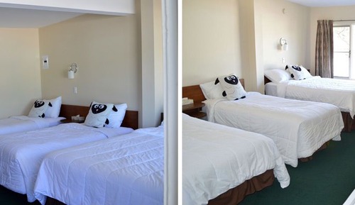 Double Room, Multiple Beds