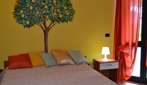Basic Double Room