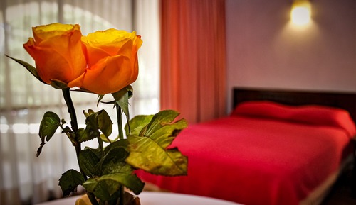 Standard Room, 1 King Bed