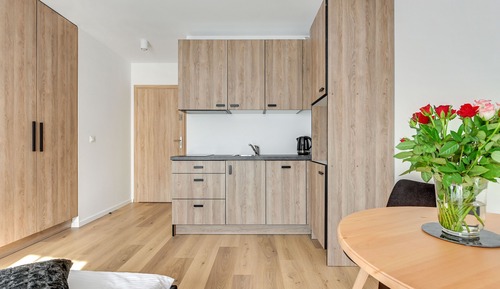 Studio Suite (13B)