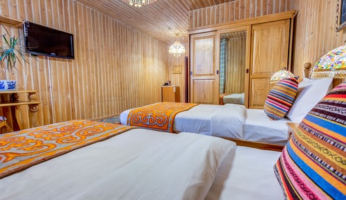 Standard Twin Room