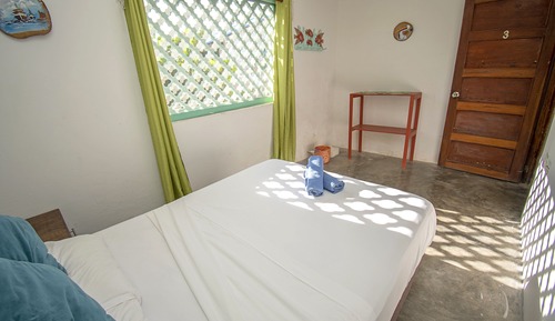 Basic Double Room