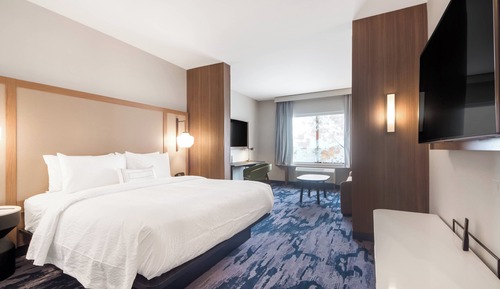 Executive Suite, 1 King Bed with Sofa bed