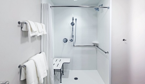 Standard Room, 1 King Bed, Accessible (Roll-In Shower)