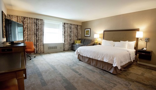 Room, 1 King Bed with Sofa bed, Accessible, Non Smoking (Mobility & Hearing, Roll-in Shower)