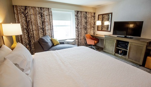 Room, 1 King Bed, Non Smoking, Refrigerator & Microwave