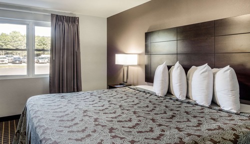 Standard Room, 1 King Bed, Non Smoking