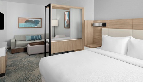 Suite, 1 King Bed with Sofa bed (Hearing Accessible)