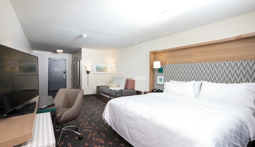 Standard Room, 1 King Bed with Sofa bed