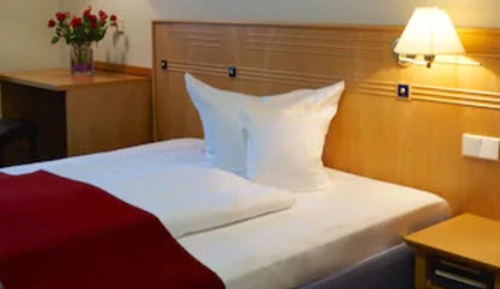 Superior Single Room