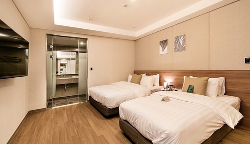 Deluxe Twin Room