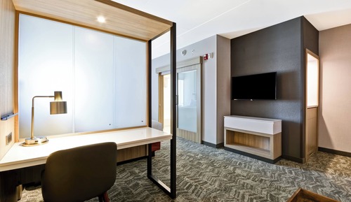 Suite, 1 King Bed with Sofa bed