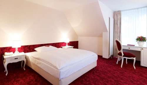 Single Room, 1 Queen Bed