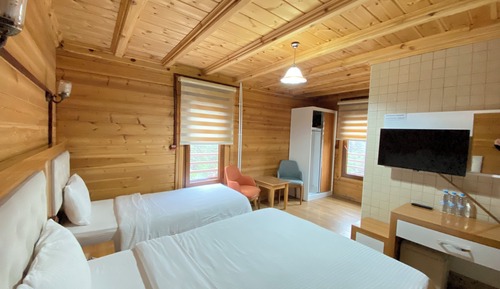 Triple Room, Multiple Beds