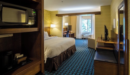 Suite, 1 King Bed with Sofa bed, Non Smoking (Hearing Accessible)