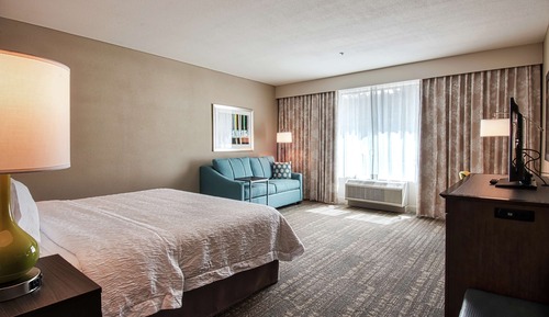 Room, 1 King Bed with Sofa bed, Accessible, Non Smoking (Rollin Shower)