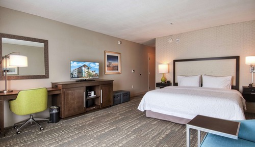 Room, 1 King Bed with Sofa bed, Non Smoking, Refrigerator & Microwave