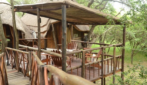 Teak 2 (Standard Family Tree House) 