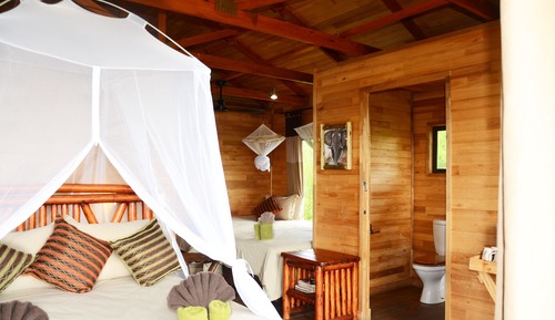 Knobthorn (Superior Family Tree House) 