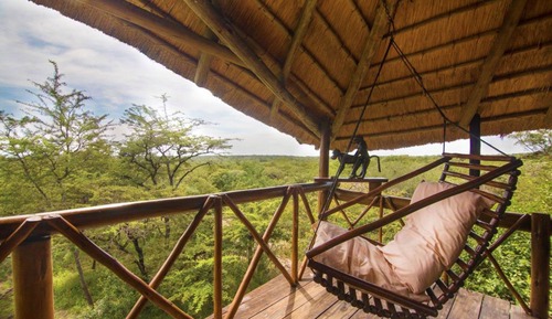 Drunken Parrot (Honeymoon Treehouse)