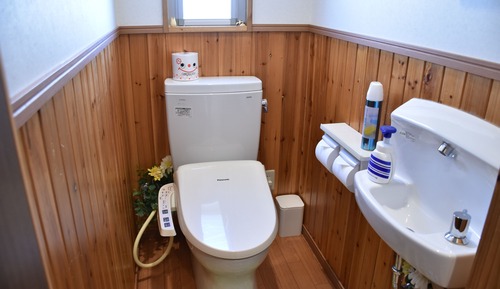Extra Type of the 1st Village (2Double beds,Japanese Futons are arranged for 3rd + more guests)