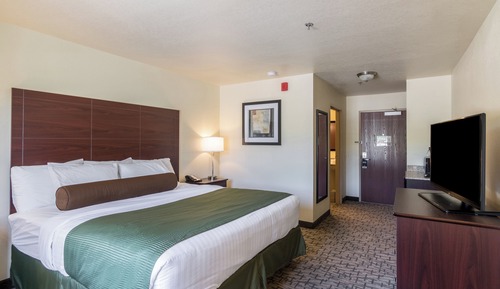 Room, 1 King Bed, Non Smoking