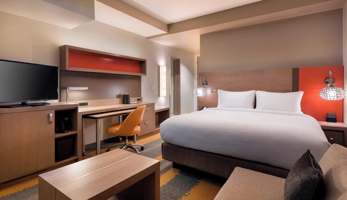 Room, 1 King Bed with Sofa bed (Mobility Accessible, Roll-In Shower)