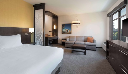 Room, 1 King Bed with Sofa bed (High Floor)