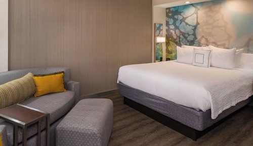 Room, 1 King Bed with Sofa bed, Non Smoking (Mobility Accessible, Roll-In Shower)